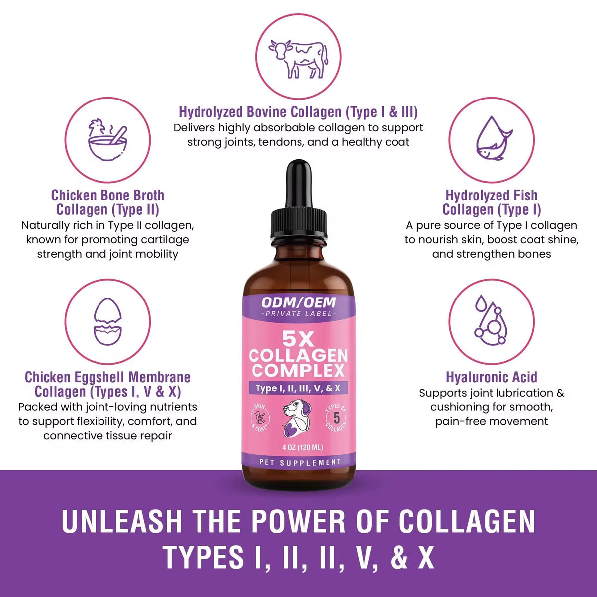 OEM/ODM Liquid Collagen Plant Extract Premium Joint Cartilage Support Supplement Fast Absorption