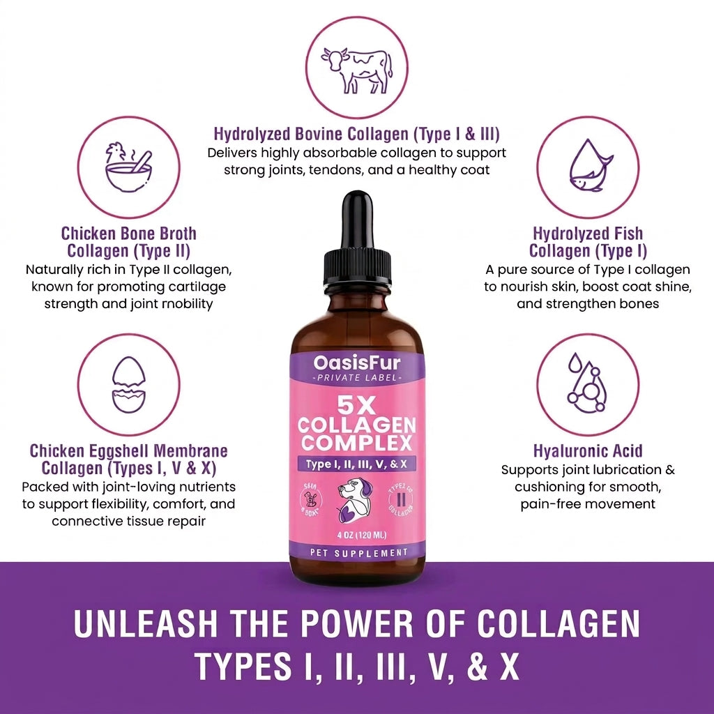 OasisFur 5X Liquid Collagen for Dogs