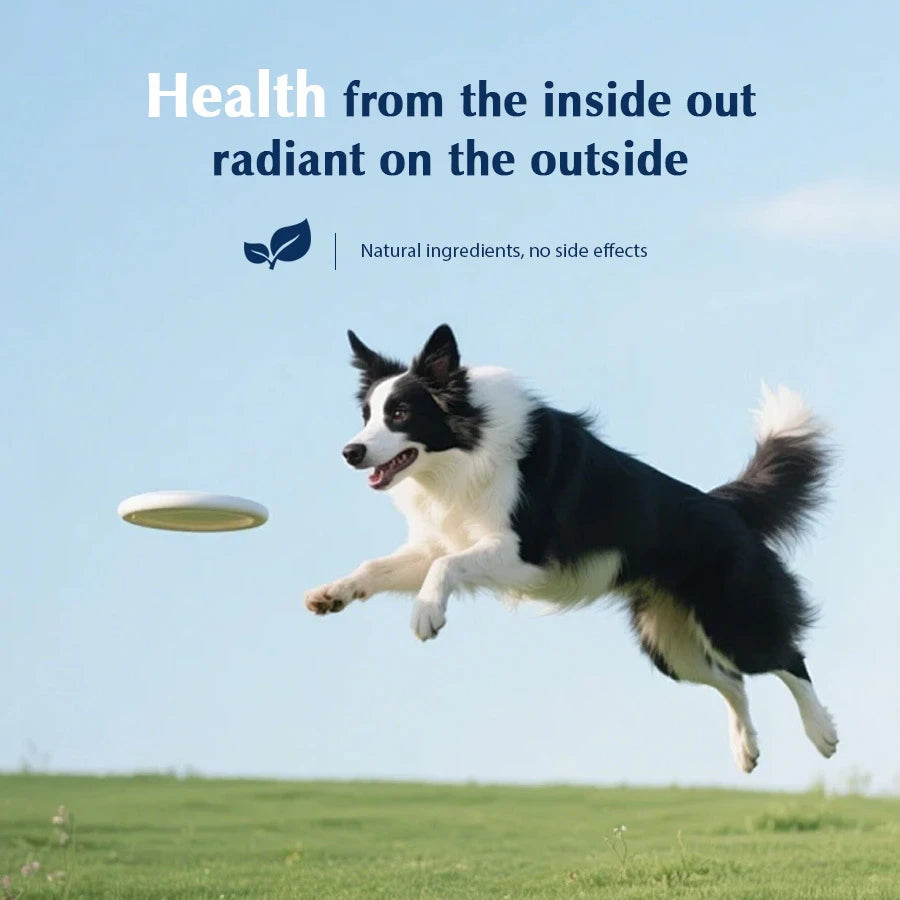 Premium Liquid Collagen Drops for Dogs Promotes Glossy Coat Hip Joint Flexibility Easy-Absorb Hydrolyzed Peptides Eggshell