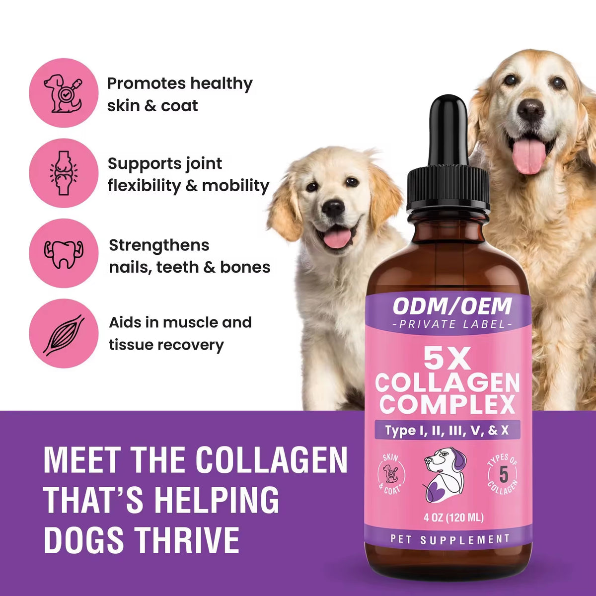 OEM/ODM Liquid Collagen Plant Extract Premium Joint Cartilage Support Supplement Fast Absorption