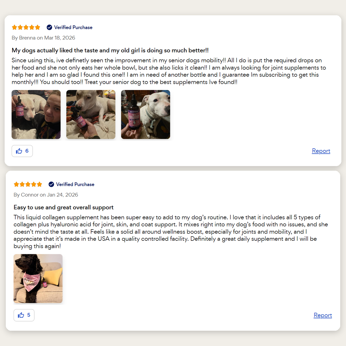 OasisFur 5X Liquid Collagen for Dogs